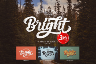 Bright Script: A Stylish Font for Web Design