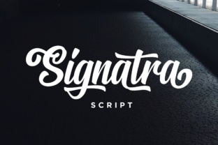 Signatra Script Review: A Playful Display Font for Campaigns