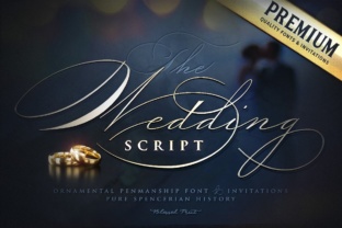 Wedding Script Font: A Marketer's Campaign Design Tool
